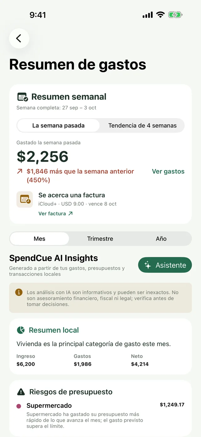Pantalla del resumen de gastos semanal